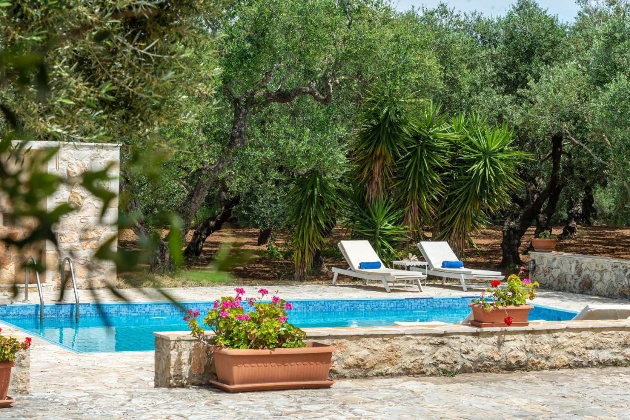 Villa Olivegrove - Nestled In Olive Trees With Private Pool, By Zantewize *