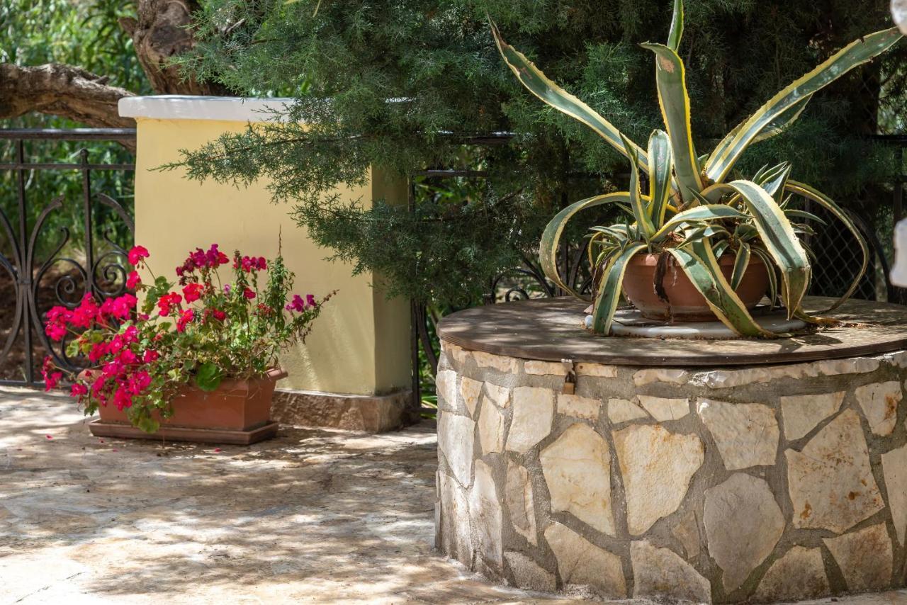 Olivegrove - Nestled In Olive Trees With Private Pool, By Zantewize * Tragaki