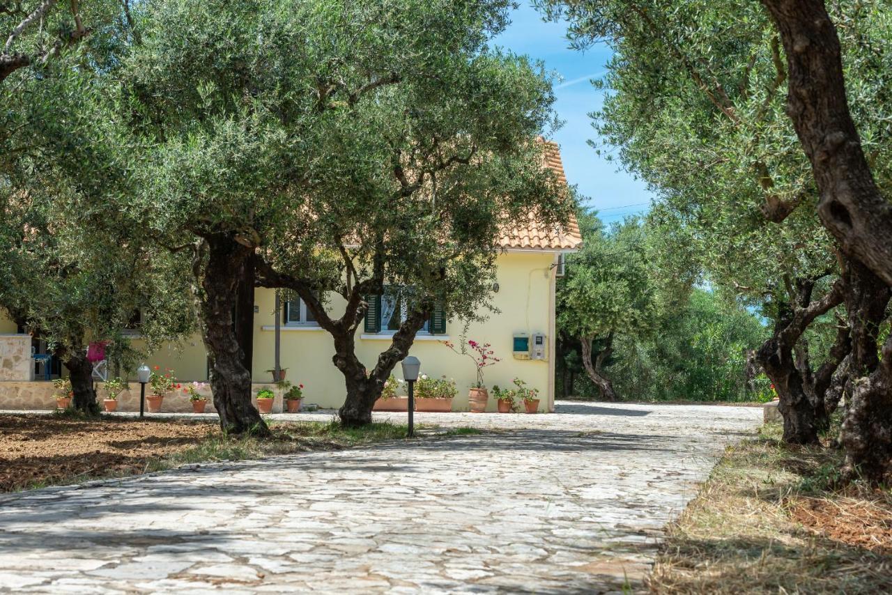Olivegrove - Nestled In Olive Trees With Private Pool, By Zantewize Villa